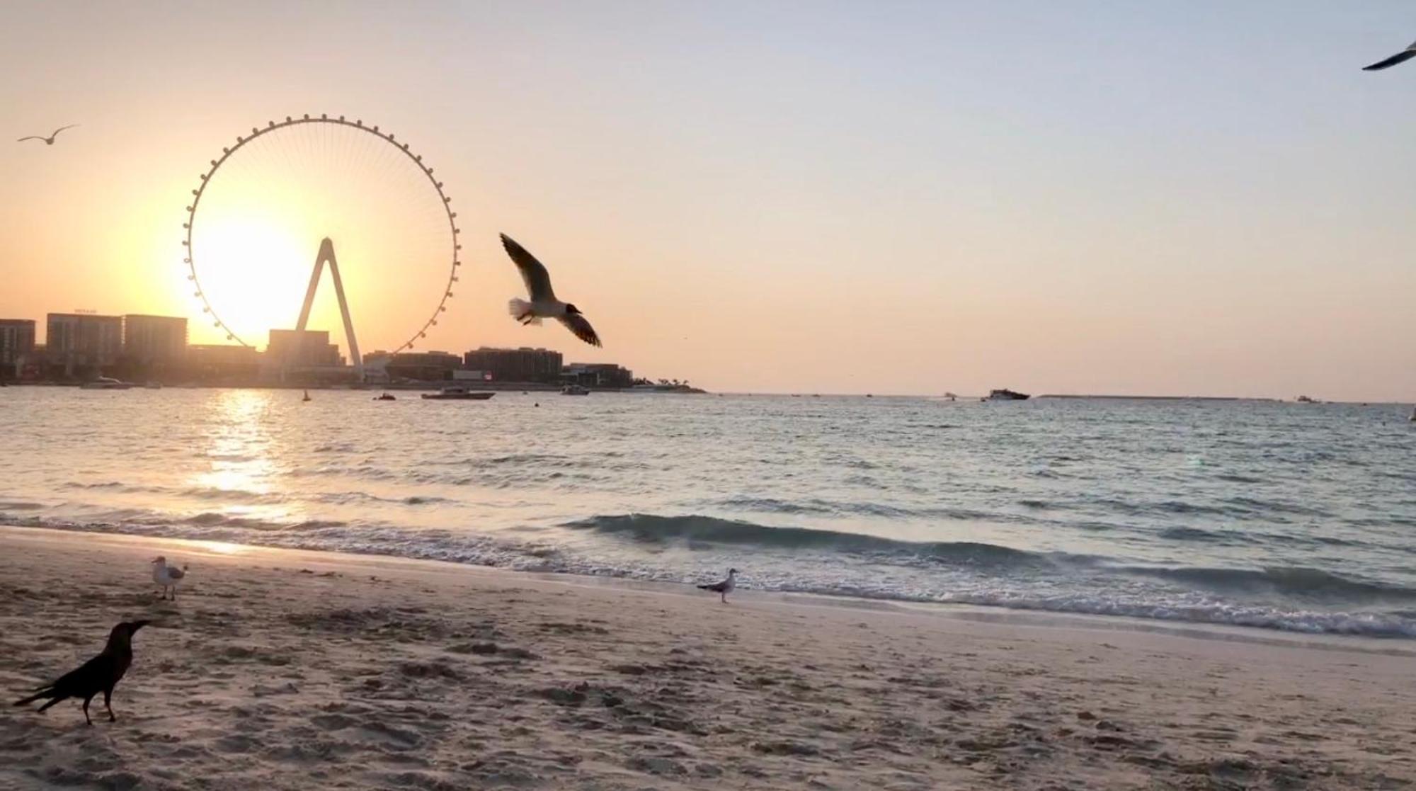 Jbr Beachfront Luxe Apartment All Rooms Sea Facing Dubai Bagian luar foto